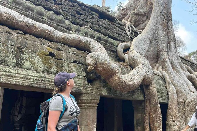 2-Day Phnom Penh to Siem Reap and Angkor Wat Temples - Ta Prohm Jungle Temple: Crumbling Stone With Real Texture