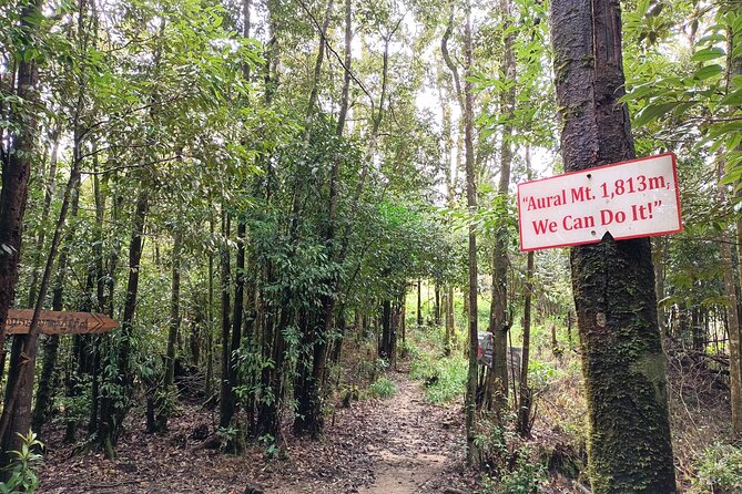 Aural Mountain Trek: Cambodia Tallest Peak Challenge - How the “fully serviced” setup changes the trek (and your stress level)