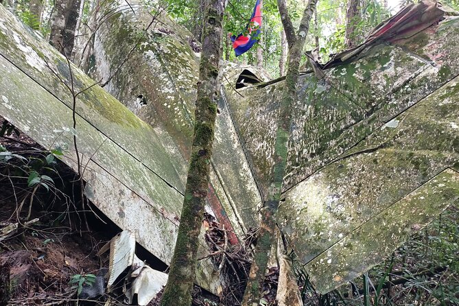Aural Mountain Trek: Cambodia Tallest Peak Challenge - Hot, humid, and full of critters: fitness and comfort in the Cardamom
