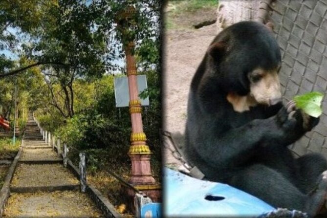 Cambodia Wildlife Sanctuary and Countryside Tour - Key highlights you’ll care about