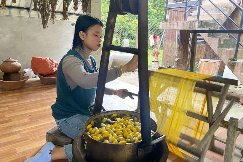 From Phnom Penh: Half-Day Silk Island Tour with Guide - Who This Tour Suits Best