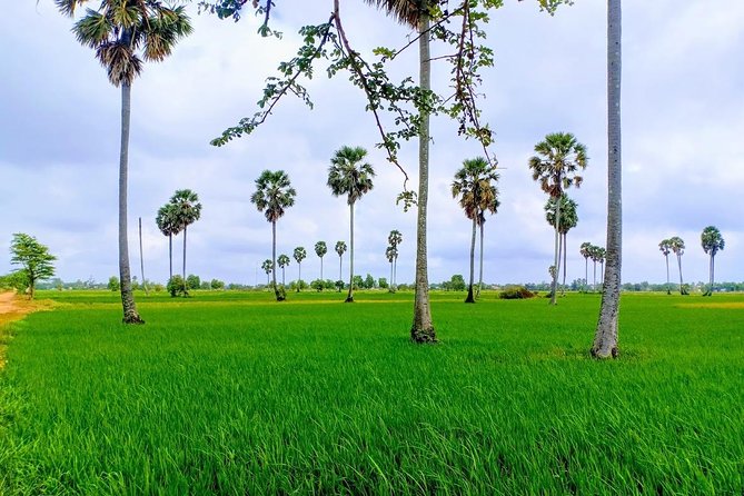 Killing Field & Paddy Rice Fields Tuk Tuk Adventure - Chambak Bet Meas Pagoda: A Quiet Religious Start (and Formal Dress)