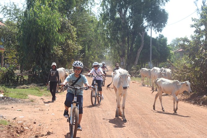 Oudong Mountain And Floating Village Cycle Tour - Khmer lunch and fruit break: the reset point you’ll appreciate