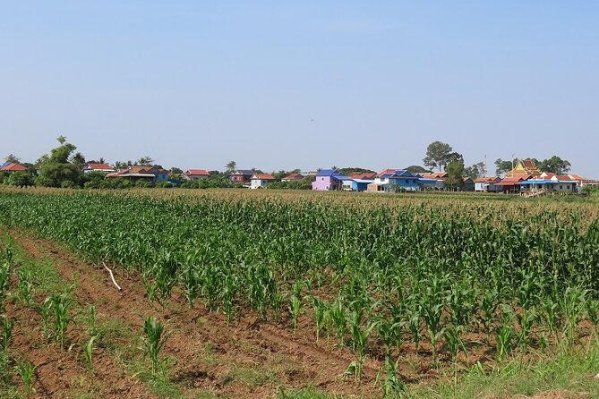 Phnom Penh Countryside Cycle Tour - Sedge Mat Weaving and Silk Workshops: What You’ll Actually Learn