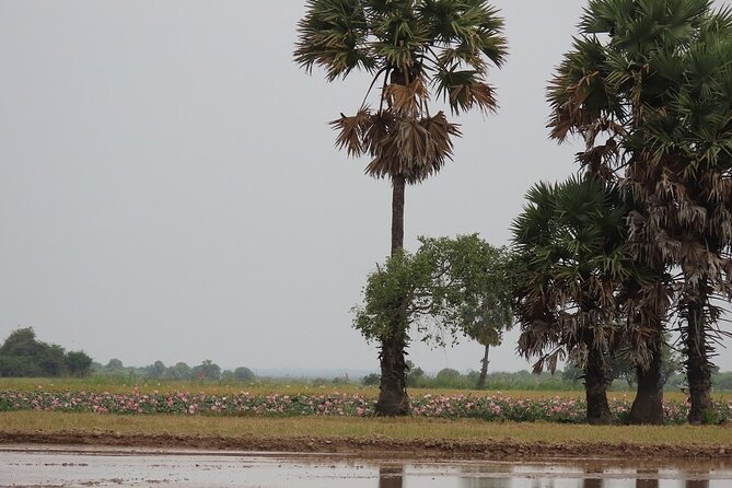 Phnom Penh Countryside Cycle Tour - Khmer Snacks and Lunch at a Villager House