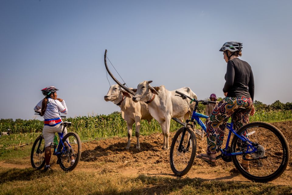 Phnom Penh: Mekong Islands & Silk Islands Guided Bike Tour - Pagoda and Countryside Culture Stops: The Meaning Behind the Quiet Roads