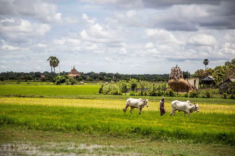 Phnom Penh: Phnom Oudong & Koh Chen Village - Lunch include - Price and value: is $65 fair for Phnom Oudong and Koh Chen?