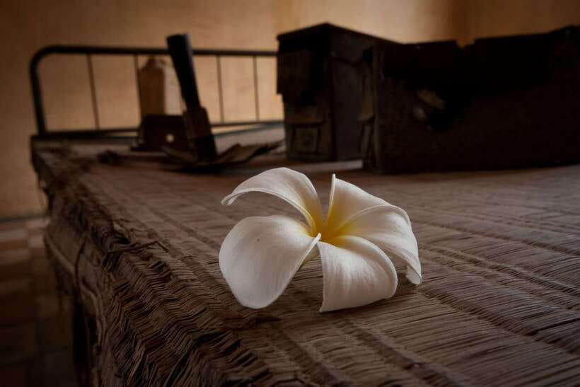 Phnom Penh private tour Tuol Sleng & Choeng Ek Killing Field - Key highlights you’ll feel immediately