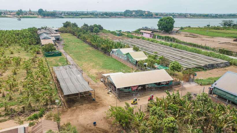 Phnom Penh: Silk Island Tour by Vespa with Tuk Tuk Available - Koh Oknha Tei Market: daily life you can smell and taste