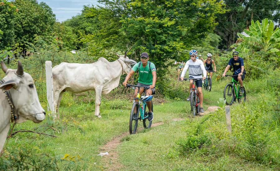 Phnom Penh: Silk Islands Half-Day Bike Tour - Who should book this tour, and who should skip it