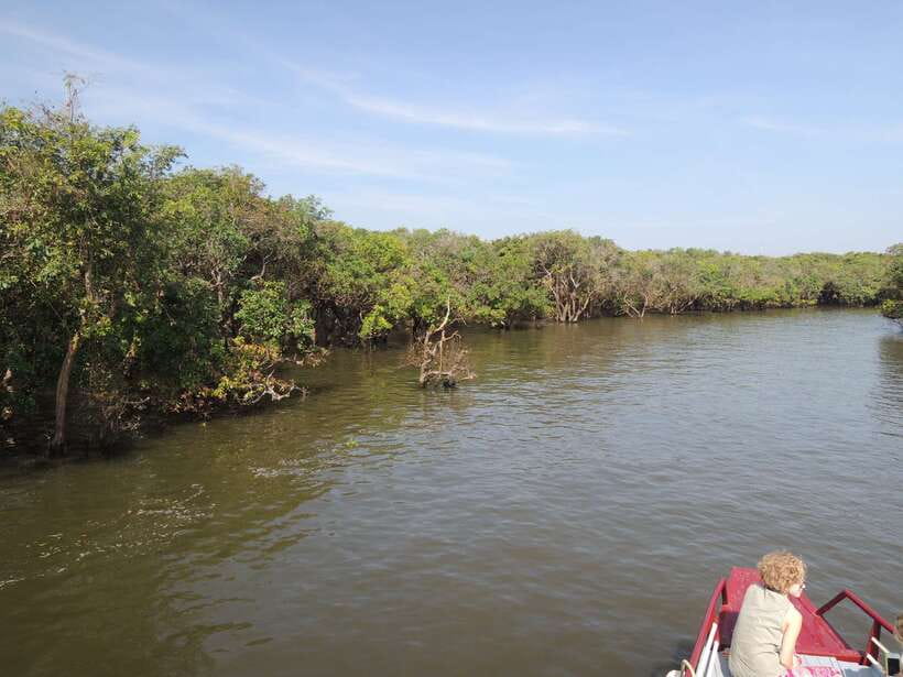 Phnom Penh to Siem Reap cruise/land tour (one way) - Choosing the right river segment: Tonle Sap vs Mekong