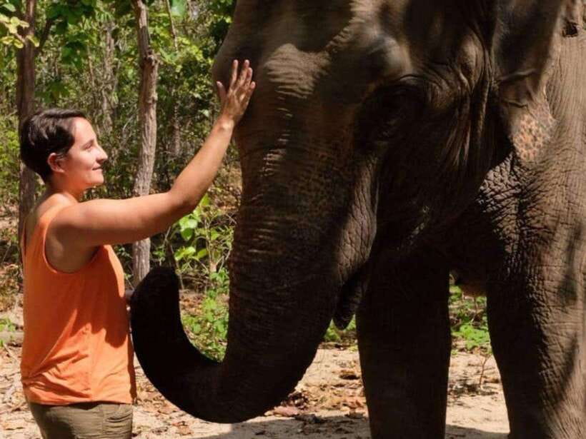 Phnom Tamao Wildlife Center & Buddha Kiri Cambodia Day Tour - From Your Phnom Penh Hotel to a Conservation Day