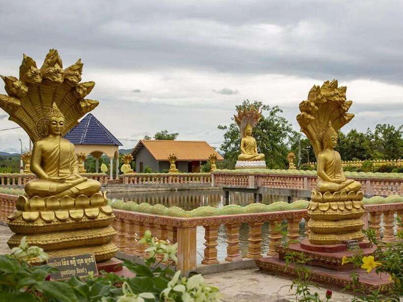 Phnom Tamao Wildlife Center & Buddha Kiri Cambodia Day Tour - Timing, Walking, and How to Prep for the Whole Day