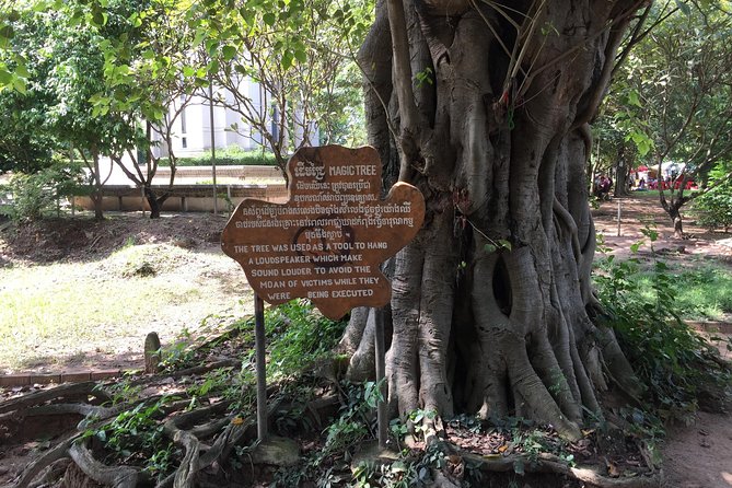 Private Half Day To Killing Field & S21 Genocidal Museum in Phnom Penh - How to prepare for S21 and the Killing Fields (emotionally and practically)