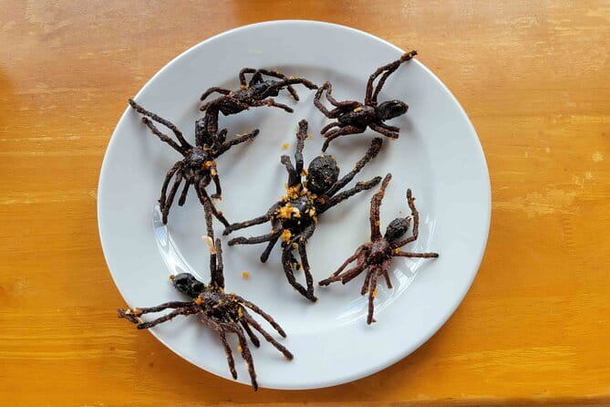 Private Taxi Phnom Penh To Siem Reap Include Floating Villages - Skuon Spider Sanctuary: Snack-Stop Energy in About 15 Minutes