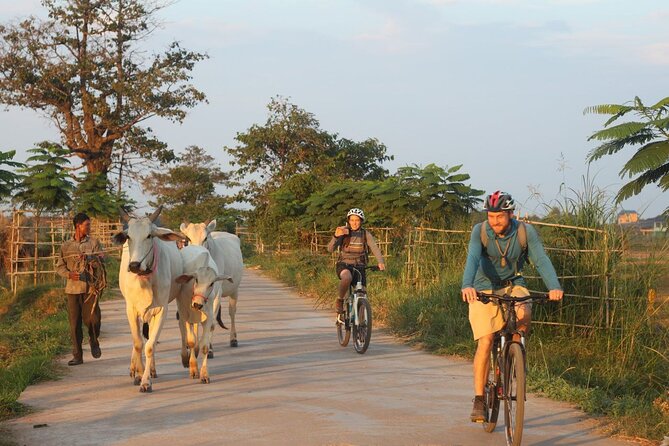 Silk Island at Twilight Cycle Encounter - Key highlights (quick hit list)