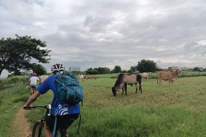 Silk Island at Twilight Cycle Encounter - Crossing toward Silk Island: villages, markets, and second ferry