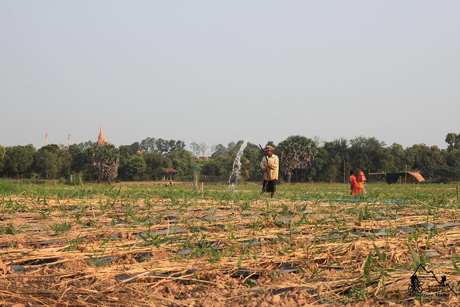 Silk Island & countryside of Phnom Penh by Tuk Tuk - Why Silk Island feels like a reset from Phnom Penh