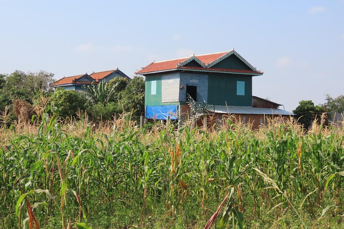 Silk Island & countryside of Phnom Penh by Tuk Tuk - Phsar Areyksat: market energy, then rural crafts